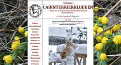 Desktop Screenshot of cairnterrier.se